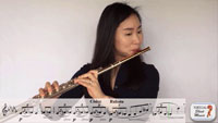 Video Flute Lessons