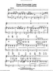 Down Sunnyside Lane