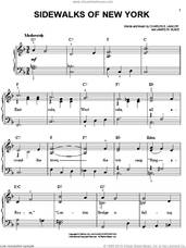 Sidewalks Of New York