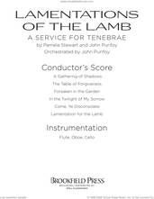 Lamentations of the Lamb (COMPLETE)