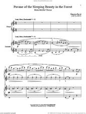 Pavane Of The Sleeping Beauty In The Forest
