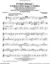 If I Had A Hammer - A Tribute to Pete Seeger