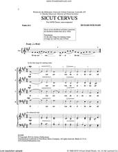 Sicut Cervus