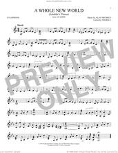 A Whole New World (from Aladdin)