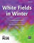 White Fields in Winter