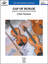 Full Score sheet music for string orchestra Gap of Dunloe: Score icon