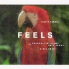 Feels (feat. Pharrell Williams, Katy Perry & Big Sean), (easy)