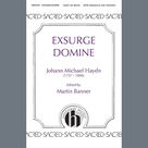 Exsurge Domine