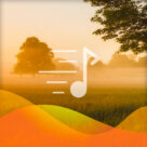 All The Pretty Little Horses