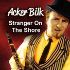 Stranger On The Shore