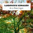 Experience, (intermediate)