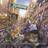 Try Everything (from Zootopia)