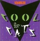 Cool For Cats