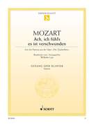 Ach, ich fuhl's, es ist verschwunden, Pamina's aria from the opera "The Magic Flute", K. 620