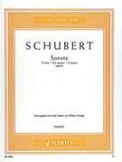 Sonata in G major, Op. 78 D 894, Fantasy