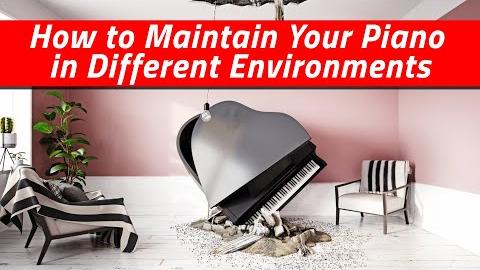 How to Maintain Your Piano in Different Environments