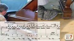 How to Use the Pedal on the Piano - Part 2