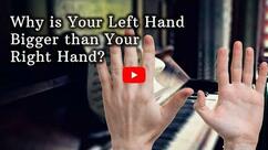 Why is Your Left Hand Bigger Than Your Right Hand?